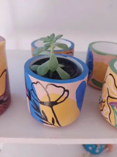 Vaso com suculenta 