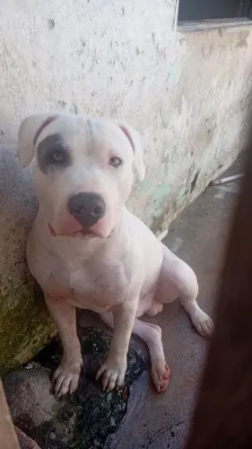Doação responsável!!