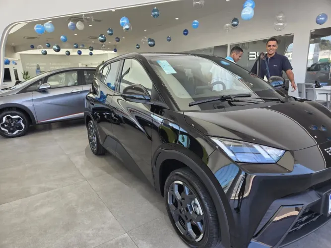 BYD Dolphin Mini (Elétrico) 2027