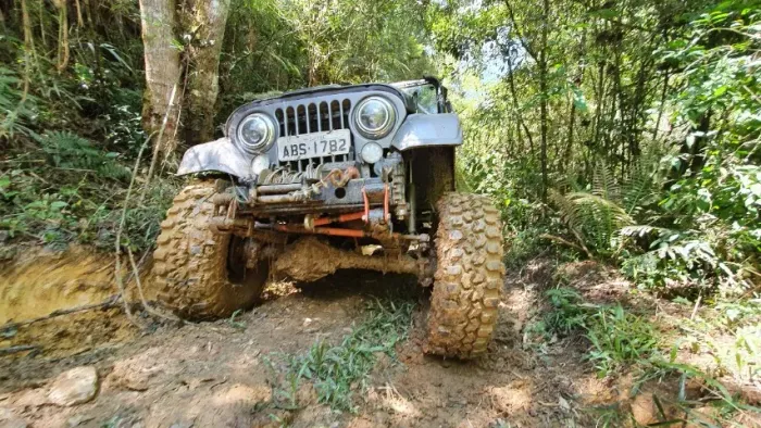 Willys Overland Jeep 2.6 12V Gasolina 2P 1973