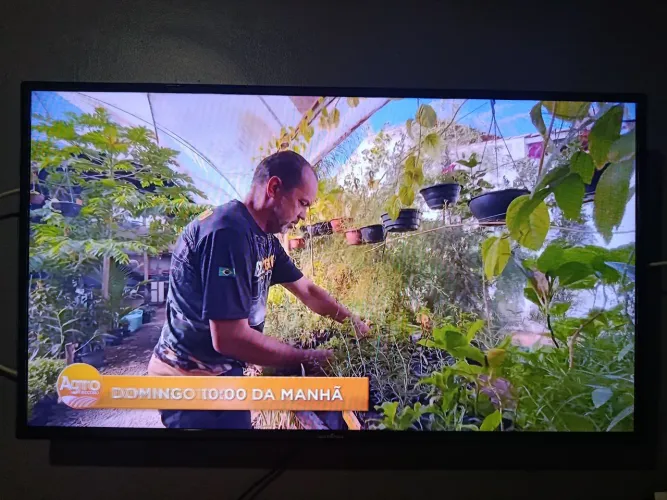 Smartv Britânia 43 polegadas 