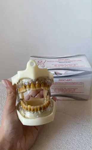 Manequim de periodontia