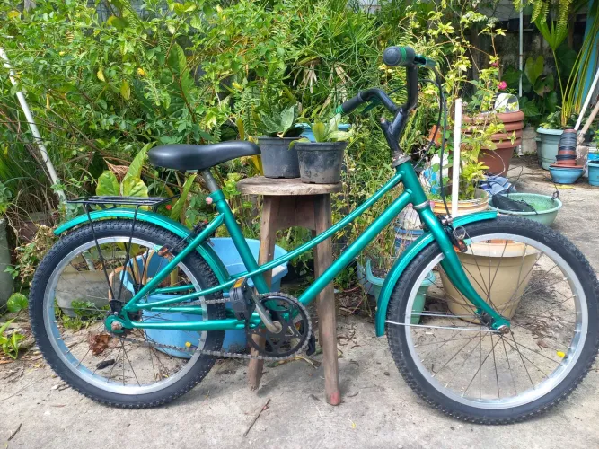 Bicicleta Aro 26 Verde (Estilo Ceci / Monark)