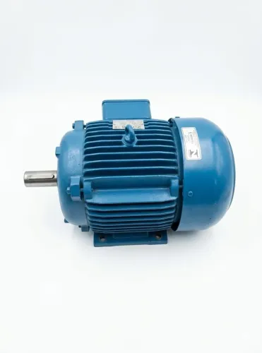 Motor trifásico 6 CV 1100 rpm