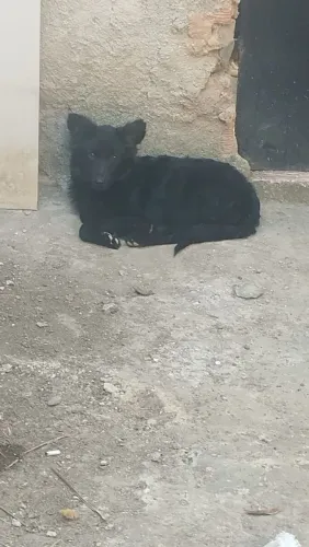 Doaçao