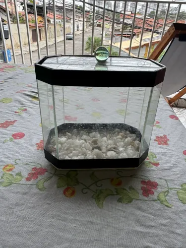 Aquário para Betta (peixe beta)
