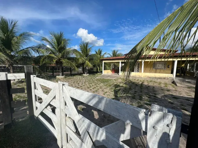 Arrendo fazenda para pecuária Maranhão 