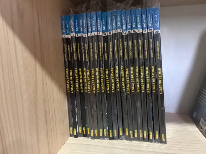 Saga do Batman 2 Temporada