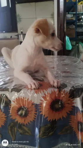 Me adota!!