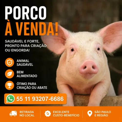 PORCO ( ZOAR UM AMIGO )