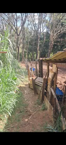 Vendo Chácara sentido Ipiguá( Estância Beira Rio)