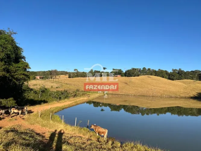 Fazenda 15 Alqueires (72 Hectares) São Miguel do Passa Quatro - GO