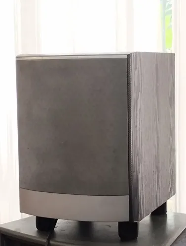 Sub Woofer JBL Activo Venue sb10