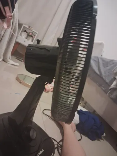 Ventilador