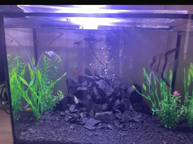 Aquário completo 35 litros