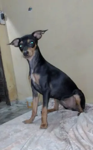 Celeste procura um namorado 01