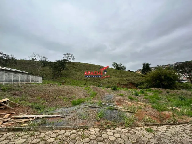 Lote no loteamento Green Ville à venda com 375,15 m² em Santo Antônio, Viçosa/MG