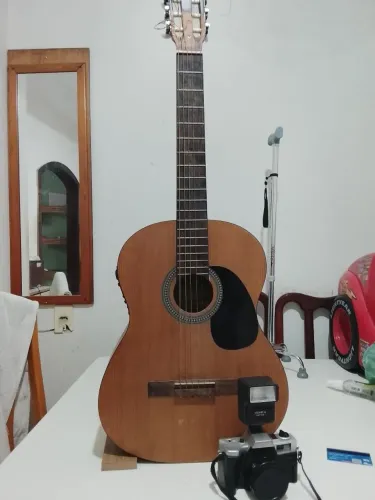 Violão Shelby Sn61stnt