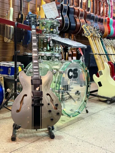 Guitarra WALDMAN Semi Acústica Style 335