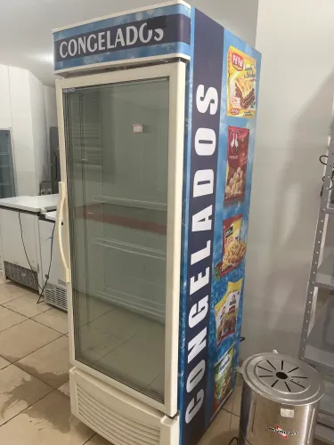 Freezer Vertical Fricon