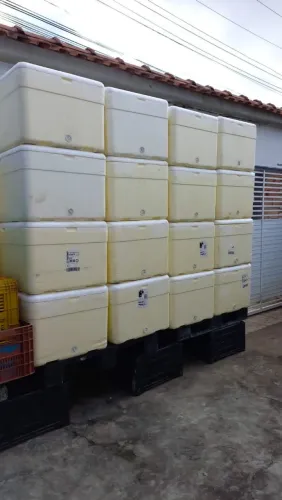 Caixa de Isopor para Alimentos - 50 unidades
