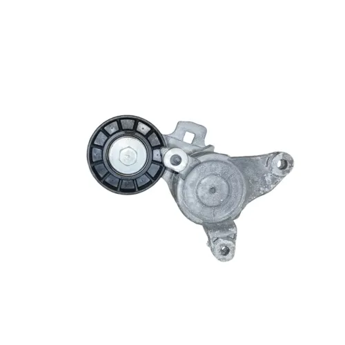 Rolamento Tensor Correia C3 Picasso 2.0 2000 A 2005