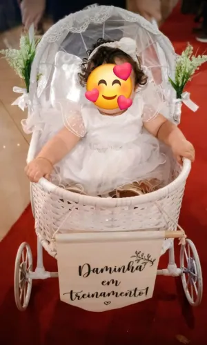 Aluguel de Carrinho de bebê Vintage Daminha e Pajem 