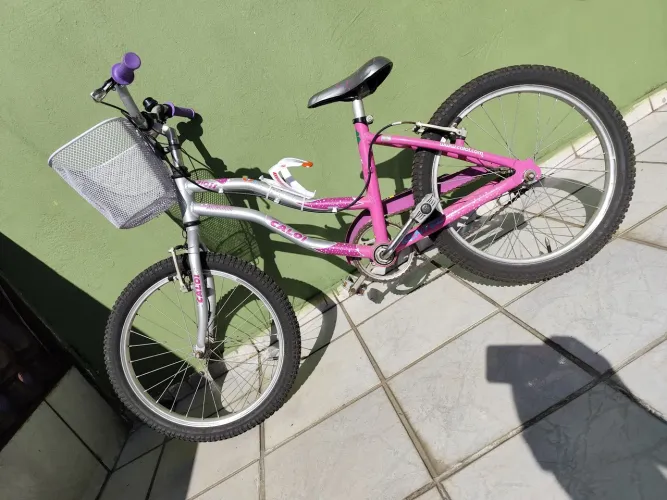Bicicleta infanti meninal Aro20 valor fixo.