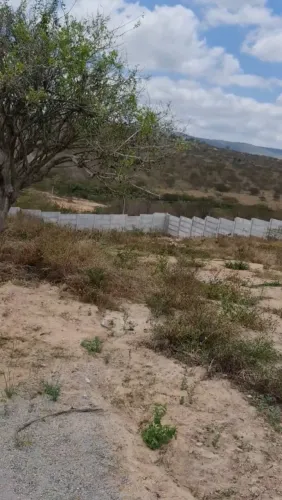 Terreno em bezerros (PE)