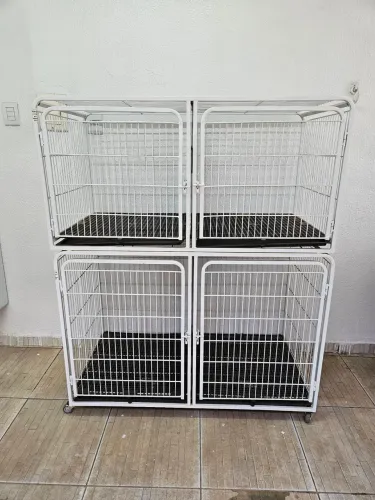 Gaiola Canil Cachorros Banho e Tosa