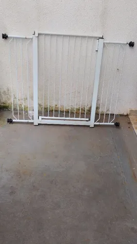 Segurança para seu pet