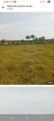 Lotes e terrenos