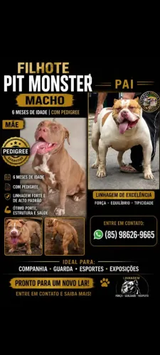 Pit monster 