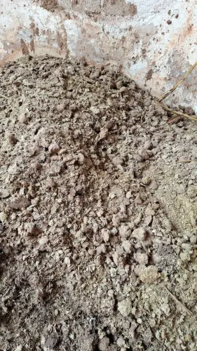 Esterco de cavalo adubo natural