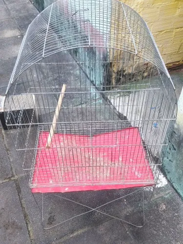 gaiola para calopsita