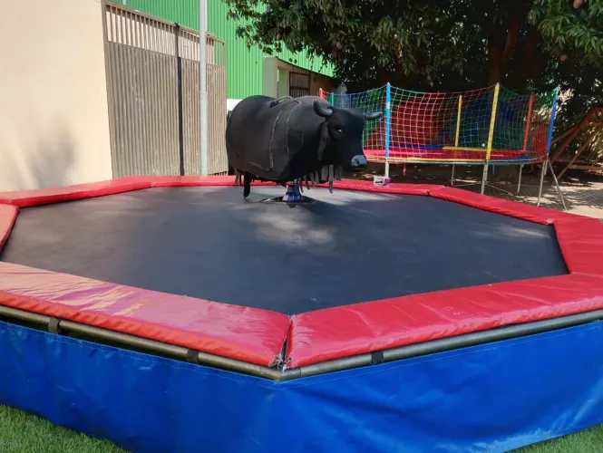 Vendo Touro mecânico trifásico 