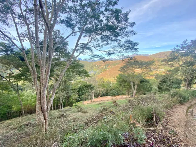 Terreno / Lote à venda com 3.200 m2, em Itaipava - Petrópolis - RJ, em condomínio fechado.