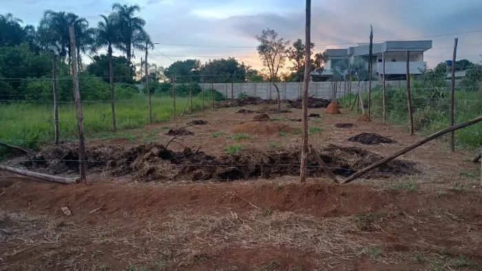 Lote ponte alta norte 350m