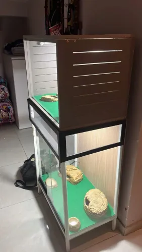 Terrário novinho 800,00
