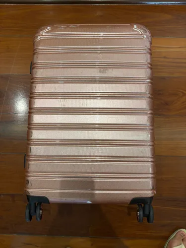 mala de viagem ifly rose gold