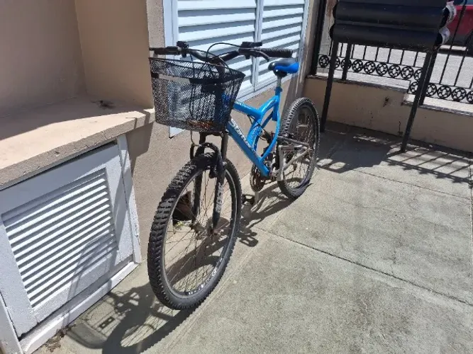 Bicicleta