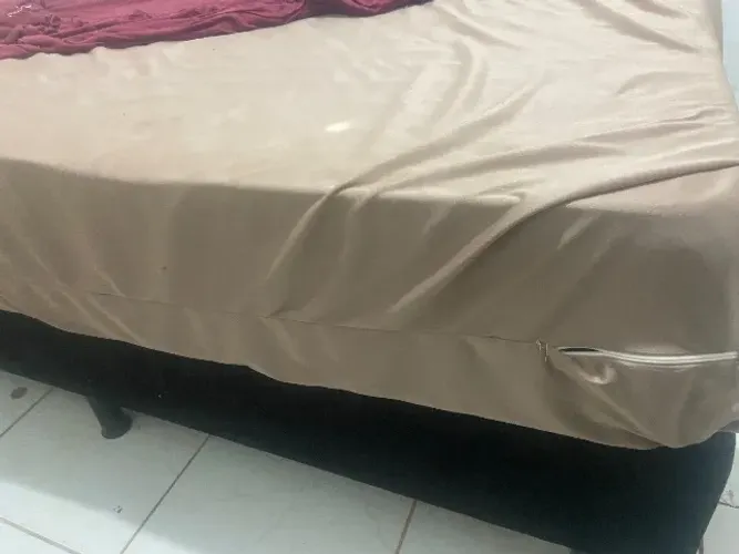 Cama