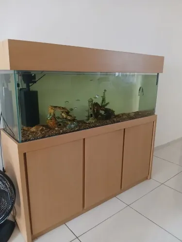 Aquário