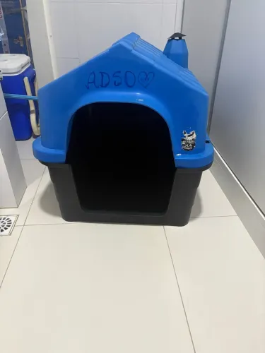 Casinha pet