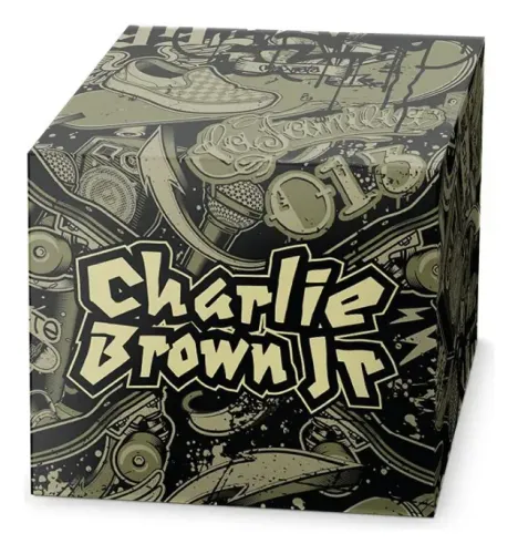 Box Charlie Brown Jr. Edição de colecionador Aberta em PERFEITO estado CDS LACRADOS!!!!