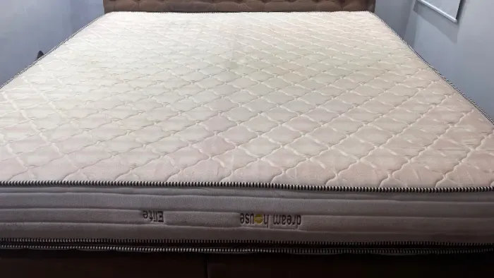 Cama