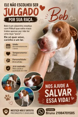 Adoção Responsável 
