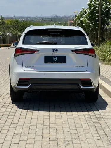 Lexus NX-300 H Luxury 2.5 16V Aut. 2020