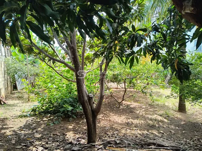 TERRENO PLANO, VILA ZÉLIA, LORENA, SP