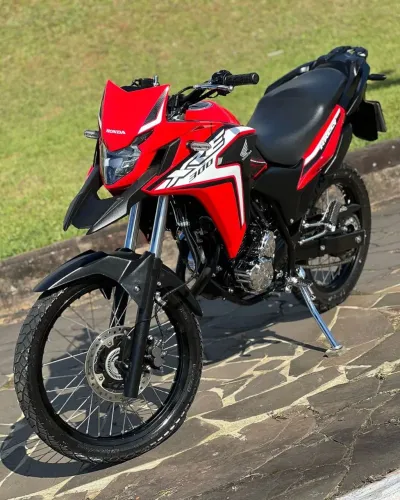 XRE 300 RALLY/2019